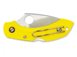 Spyderco Dragonfly 2 Salt Serrated