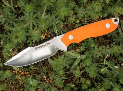 Magnum EFD Orange New