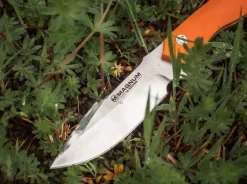 Magnum EFD Orange New