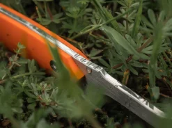 Magnum EFD Orange New