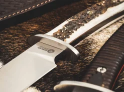 Böker Arbolito Esculta Hirschhorn Braun Online