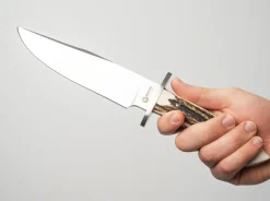 Böker Arbolito Esculta Hirschhorn Braun Online