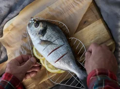 Light My Fire Gr.P FireGrill Silber Best