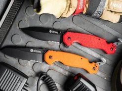 Dönges Professional Fire Clearance