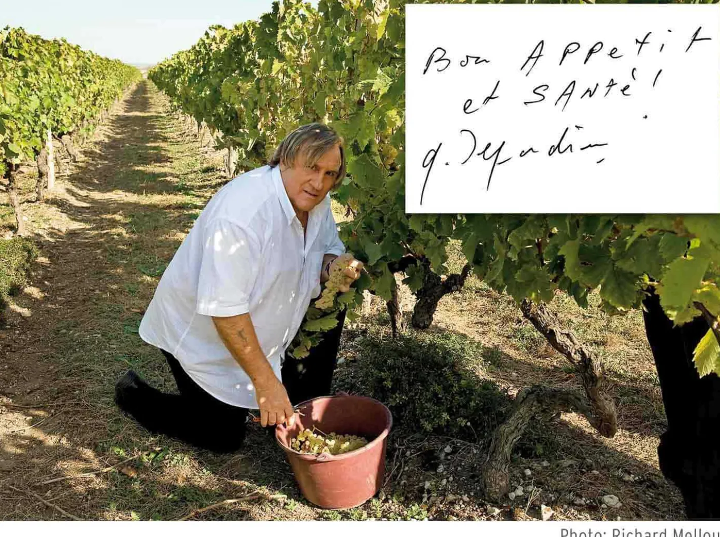 Claude Dozorme Sommelier Capucin Gérard Depardieu Braun Discount