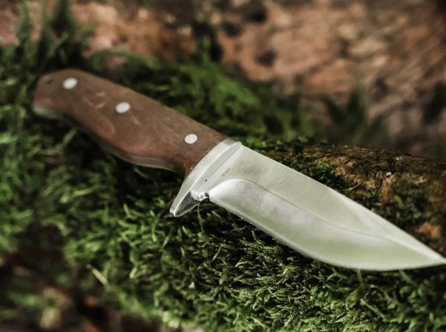 Magnum Walnut Drop Braun Sale