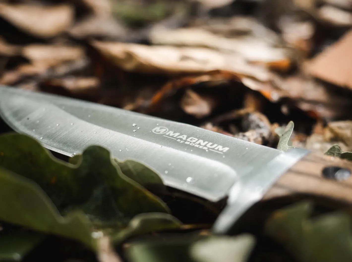 Magnum Zebra Drop Braun New