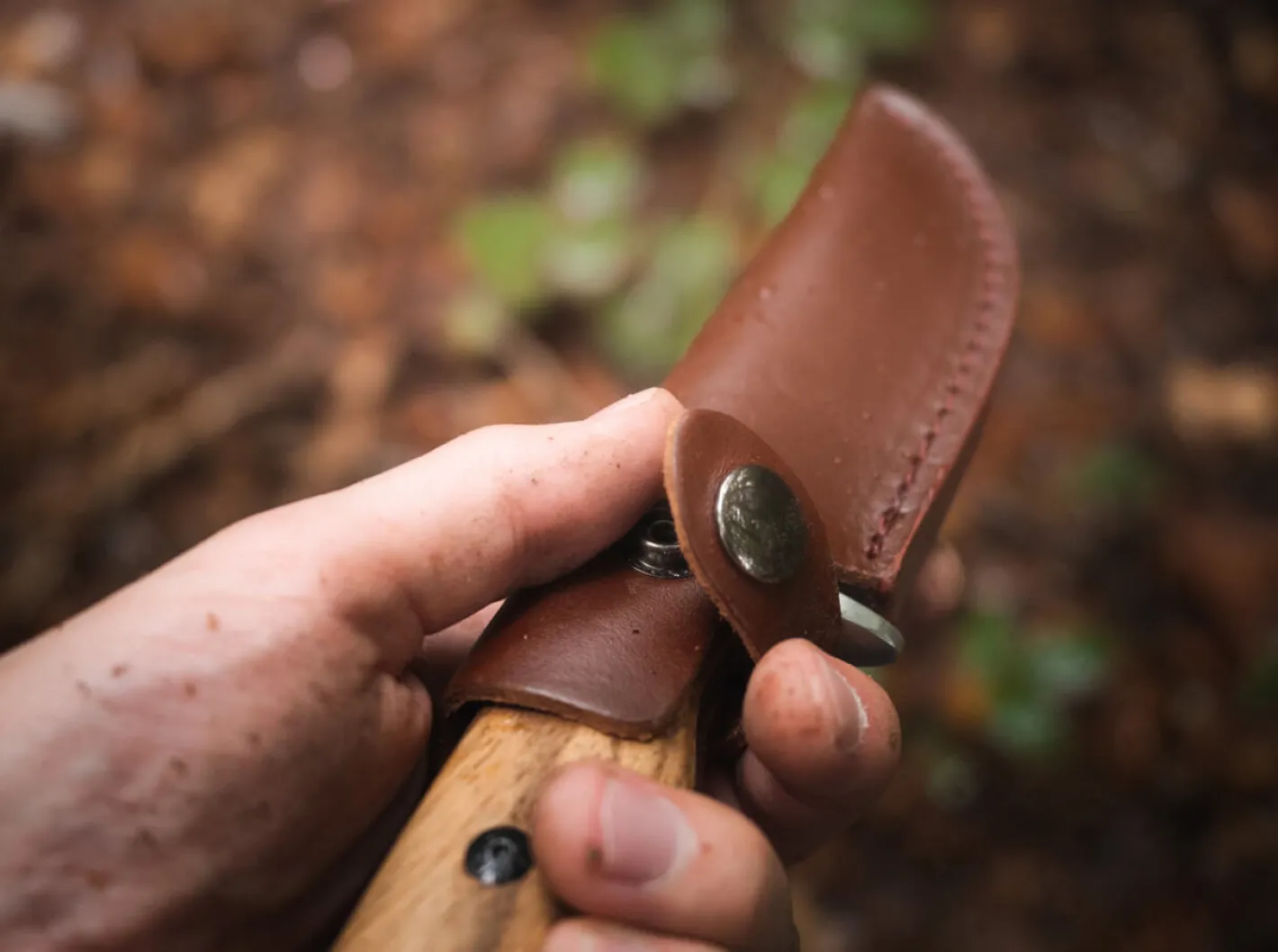 Magnum Zebra Drop Braun New